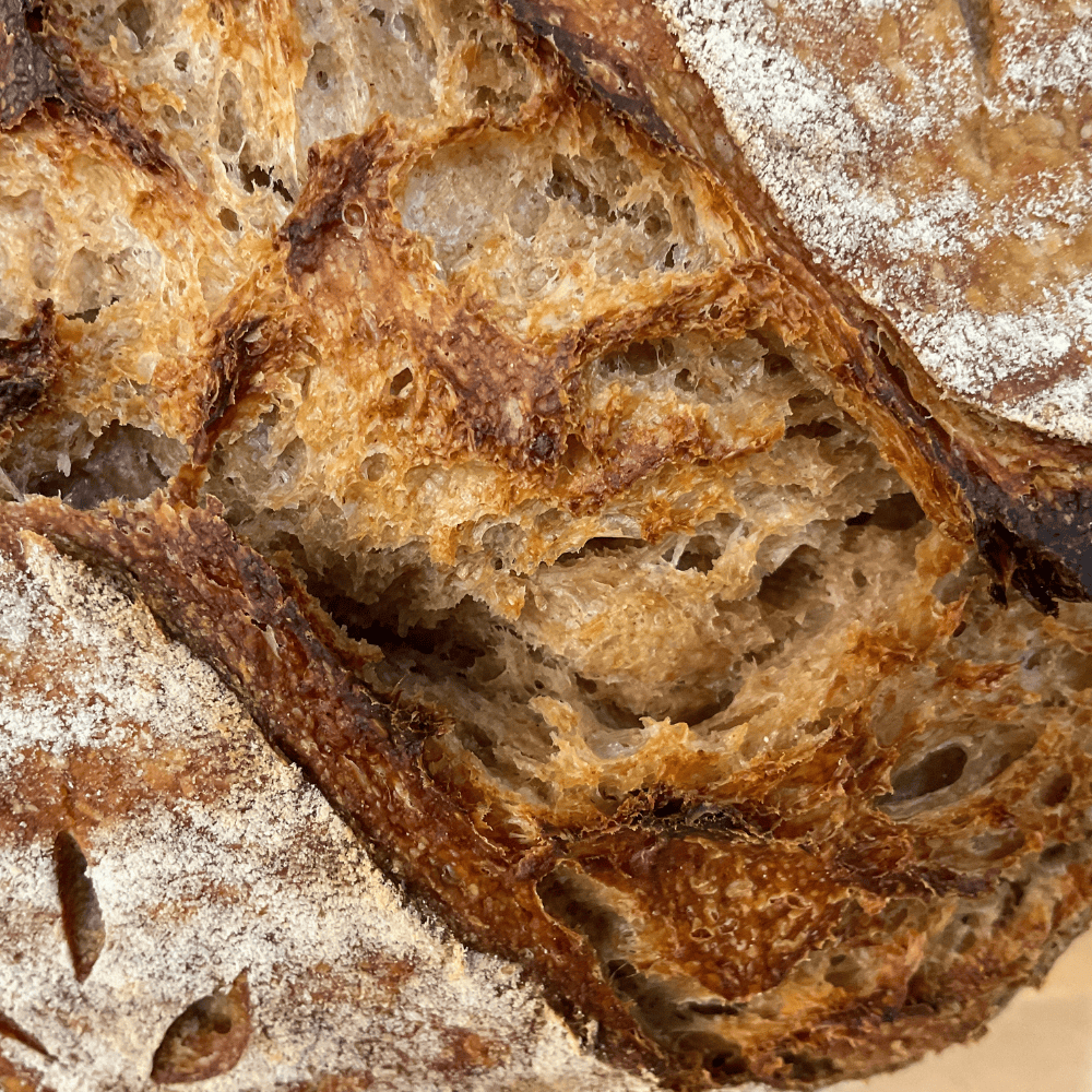 Close-up of a loaf of bread with a rustic crust