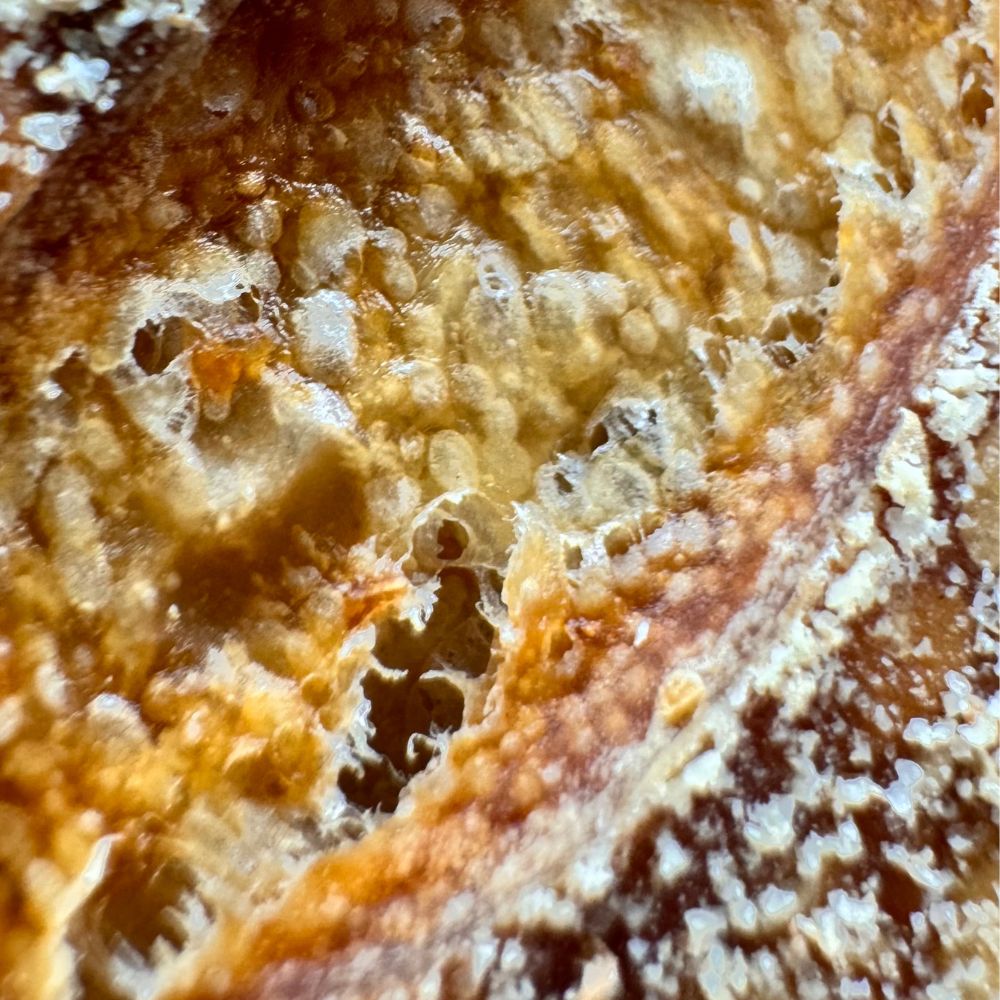 Close-up of a piece of bread with a porous texture