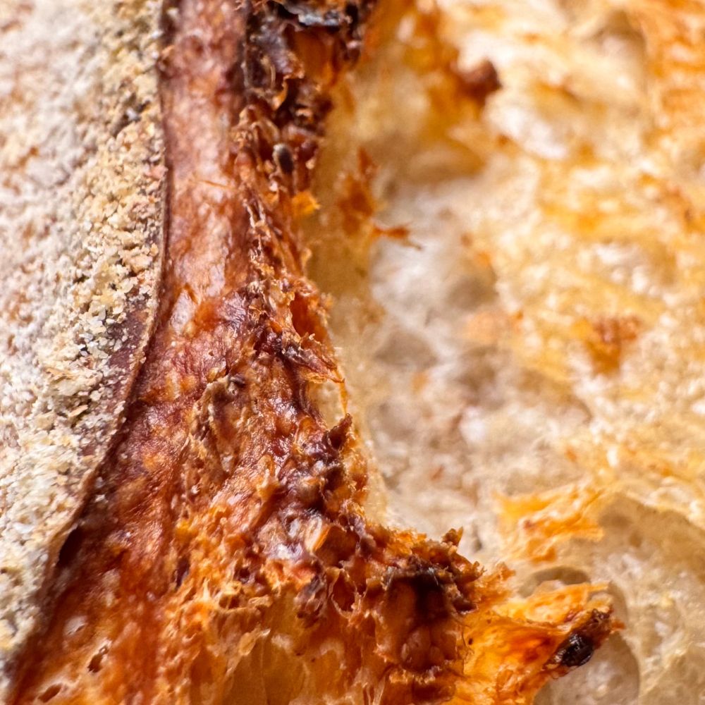 Close-up of a slice of bread with a crusty exterior