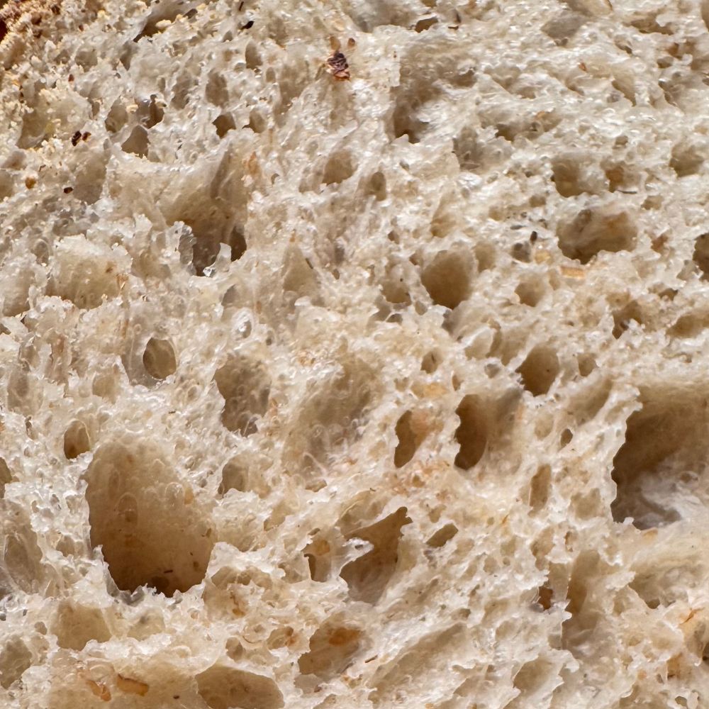 Close-up of bread texture with a porous structure