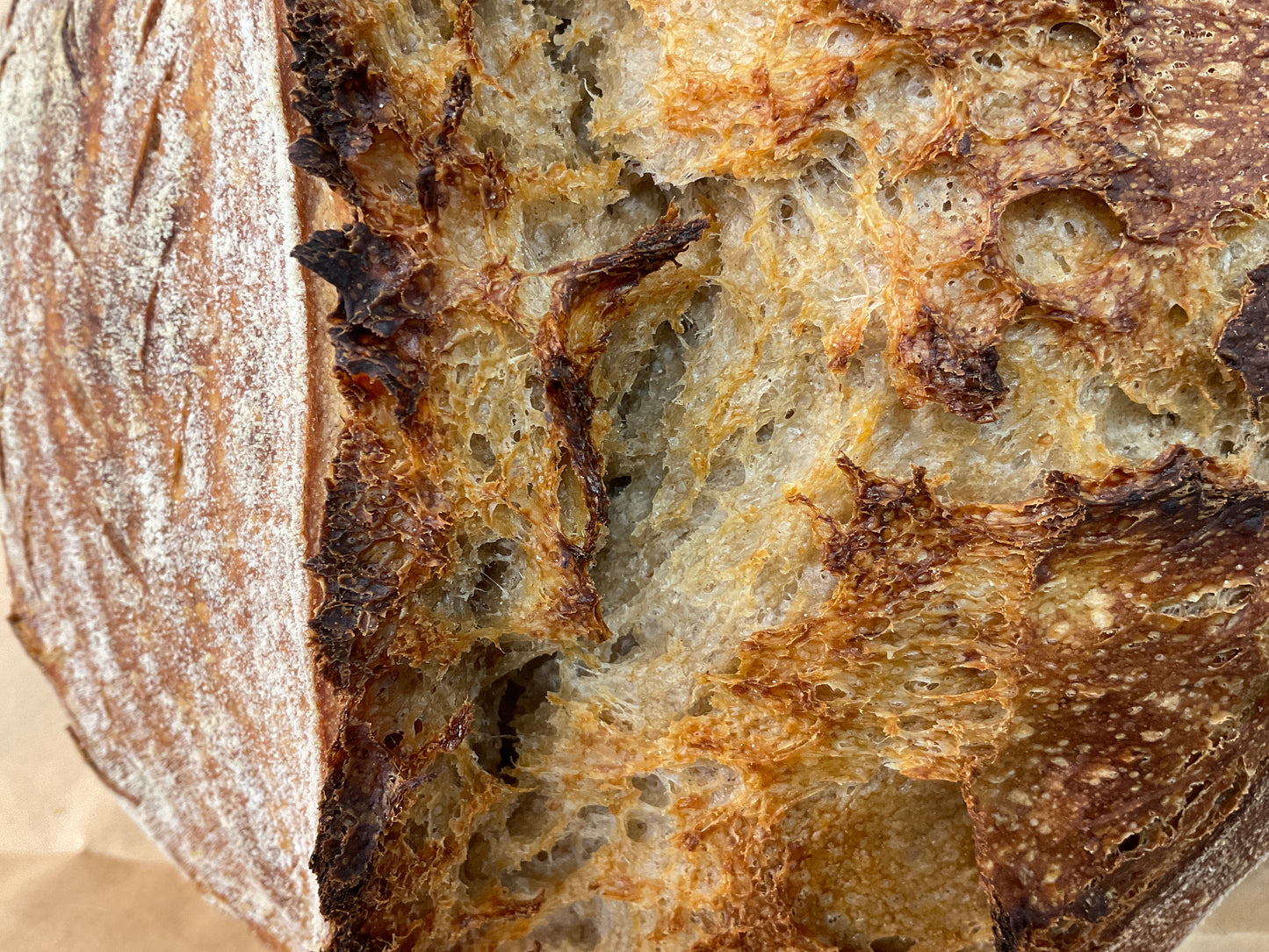Handmade Organic Golden Rye Sourdough