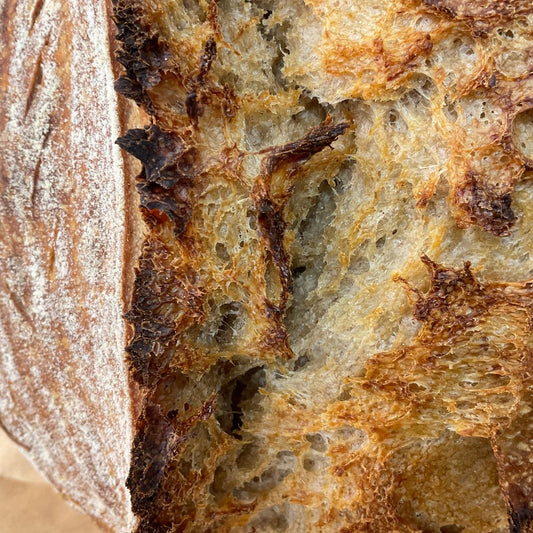 Close-up of a slice of bread with a focus on the crust and texture.