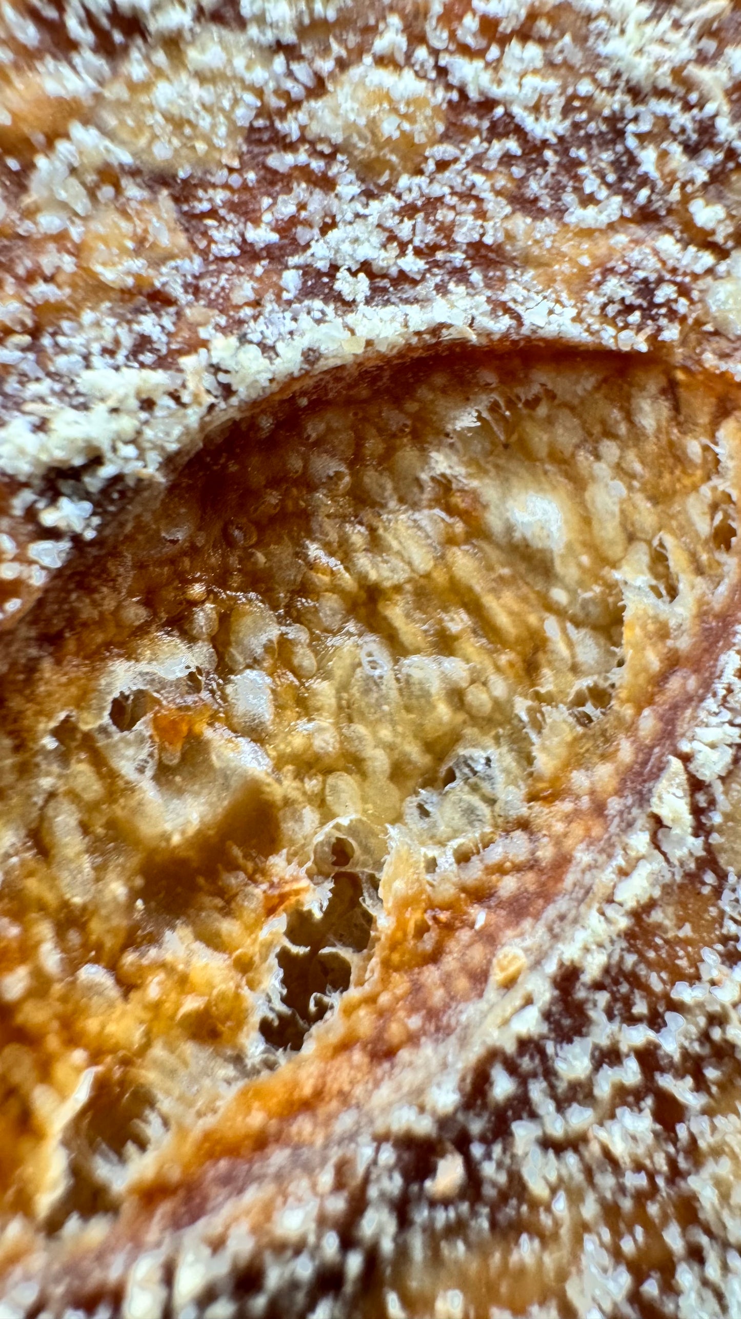 Handmade Organic White Rye Sourdough- BLACK SESAME limited edition