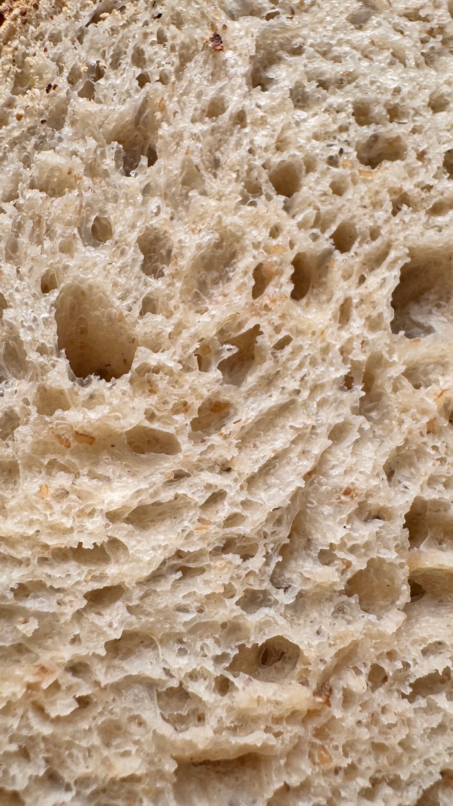 Handmade Organic White Rye Sourdough- BLACK SESAME limited edition