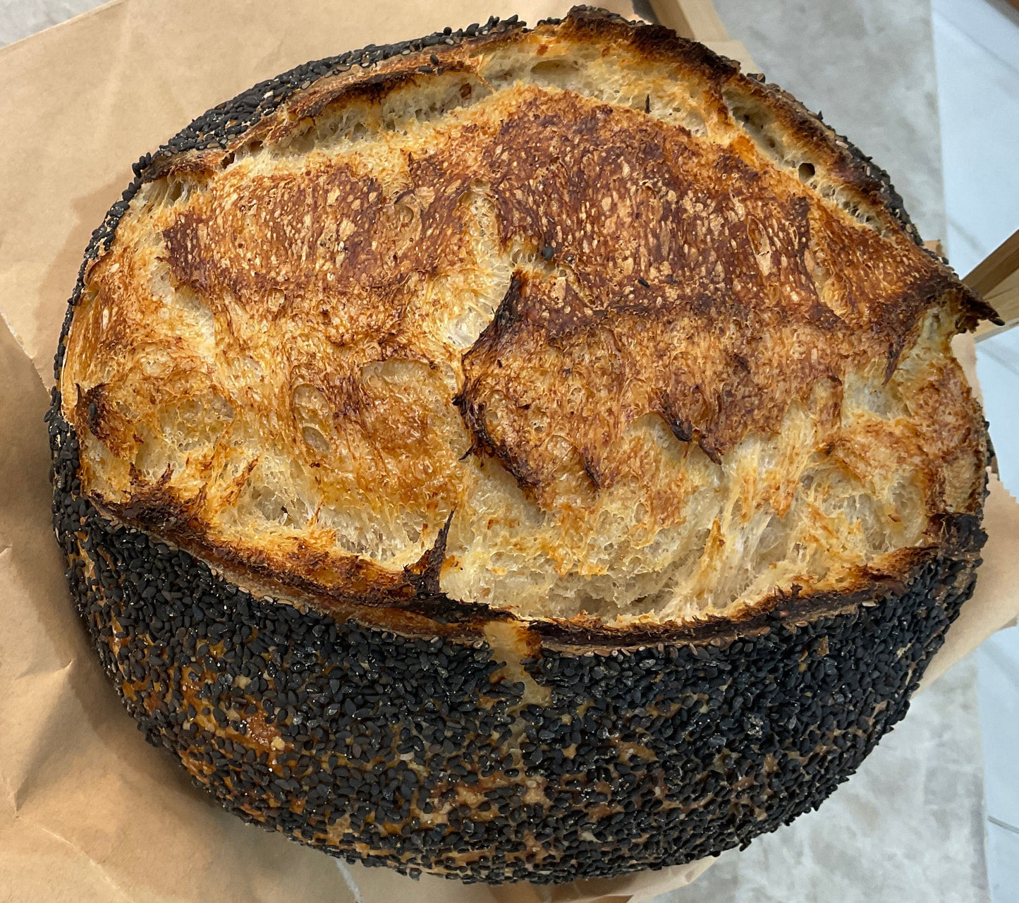 Handmade Organic White Rye Sourdough- BLACK SESAME limited edition